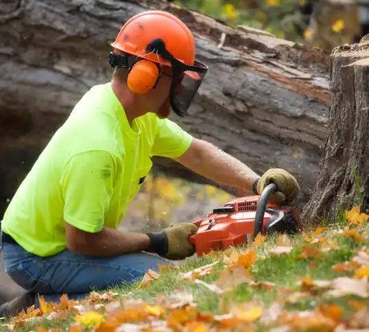 tree services Queenstown